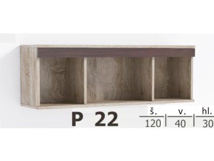 p22
