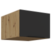 50 NAGU 36 1F ARIA BL AR
