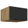 60 NAGU 36 1F ARIA BL AR